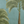 Palma wallpaper by Deus ex Gardenia in teal, pattern sample of tall palm trees