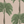 Palma wallpaper by Deus ex Gardenia in pink and green, full repeat of tall palm trees