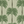 Palma wallpaper by Deus ex Gardenia in beige and green, full repeat of tall palm trees