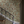 Resplendent Woods superwide wallpaper by Deus ex Gardenia in dark green, peacocks and pheasants in trees in a hallway