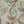 Resplendent Woods wallpaper by Deus ex Gardenia in teal, full repeat of peacocks and pheasants in trees