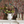 Resplendent Woods wallpaper by Deus ex Gardenia in terracotta, peacocks and pheasants in trees around a fireplace