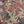 Resplendent Woods wallpaper by Deus ex Gardenia in terracotta, flat sample of peacocks and pheasants in trees