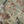 Resplendent Woods superwide wallpaper by Deus ex Gardenia in dark green, flat sample (alternate view)