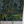 Resplendent Woods superwide wallpaper by Deus ex Gardenia in dark green, peacocks and pheasants in trees on a feature wall