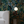 Resplendent Woods superwide wallpaper by Deus ex Gardenia in dark green in a styled room setting