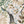 Resplendent Woods wallpaper by Deus ex Gardenia in cream and green, full repeat of peacocks and pheasants in trees