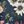 Beechcroft Garden wallpaper by Deus ex Gardenia in navy, close-up of garden flowers and foliage