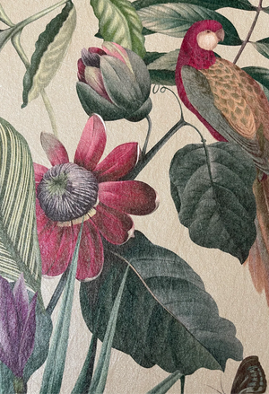 Passiflora wallpaper by Deus ex Gardenia in cream, full repeat of parrots and passion flowers