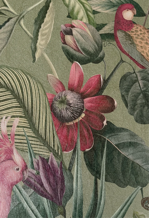 Passiflora wallpaper by Deus ex Gardenia in sage green, flat sample of parrots and passion flowers