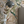 Resplendent Woods superwide wallpaper by Deus ex Gardenia in cream and green, peacocks and pheasants in trees in a bedroom