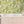 Disco Lemons wallpaper by Brand McKenzie in white, lemon branches with disco balls in a kitchen