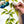 Disco Lemons wallpaper by Brand McKenzie in green, the artist's artwork in progress showing lemon branches with disco balls