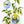 Disco Lemons wallpaper by Brand McKenzie, the artist working on the design showing lemon branches with disco balls