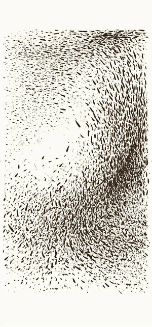 Disorder in Stasis Passerine 2 wallpaper by The Monkey Puzzle Tree in black and white, flat sample