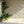 Eden wallpaper by Victoria Sanders in green, birds among foliage in a styled room setting