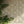 Eden wallpaper by Victoria Sanders in cream, birds among foliage on a feature wall