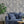 Eden wallpaper by Victoria Sanders in blue, birds among foliage in a living room
