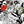 English Garden wallpaper by Dupenny in multicolour, flat sample of bold garden flowers