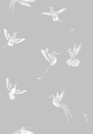 Exotic Birds wallpaper by Brand McKenzie in grey, pattern detail of hummingbirds in flight
