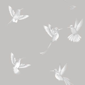 Exotic Birds wallpaper by Brand McKenzie in grey, close view of hummingbirds in flight