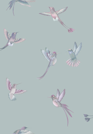Exotic Birds wallpaper by Brand McKenzie in blue, detail of hummingbirds in flight