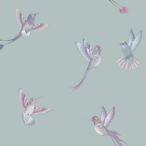 Exotic Birds wallpaper by Brand McKenzie in blue, close-up of hummingbirds in flight