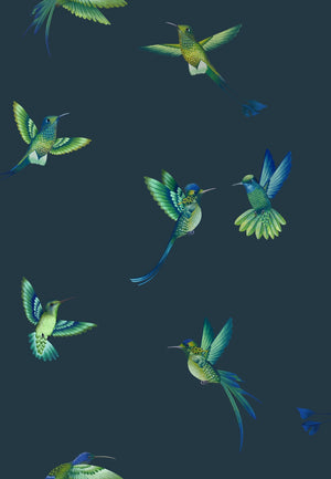 Exotic Birds wallpaper by Brand McKenzie in navy, detail of hummingbirds in flight