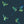 Exotic Birds wallpaper by Brand McKenzie in navy, close-up of hummingbirds in flight