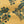 Coromandel Flower linen by Parker and Jules in yellow, pattern sample of paisley flower sprays