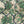 Creeping Trellis linen by Parker and Jules in green and pink, pattern sample of flowers on a trellis