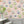 Fine China wallpaper by Brand McKenzie in pink, decorative china plates in a dining area