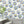 Fine China wallpaper by Brand McKenzie in blue and white, decorative china plates in a dining room