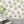 Fine China wallpaper by Brand McKenzie in white, decorative china plates behind a dining table