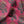Fleur velvet by Tatie Lou in pink, draped, showing stylised flower sprays