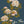 Whispers of Peony wallpaper by Dami and Em Design in blue, full repeat of peonies