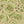 Folk Floral wallpaper by Parker and Jules in green, roll showing bold folk flowers