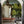 Gardenia wallpaper by Deus ex Gardenia in green, large tropical leaves in a hallway