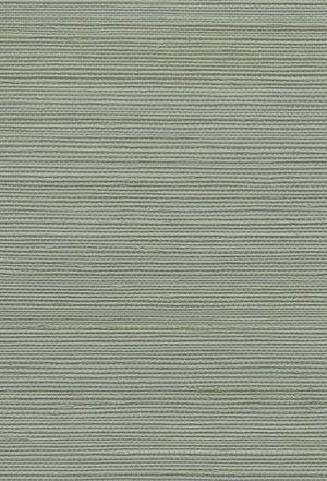 Earth Green grasscloth grasscloth by Deus ex Gardenia in sage green, full repeat of a woven grasscloth texture