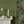 Treetop Green grasscloth grasscloth by Deus ex Gardenia in green, a woven grasscloth texture in a bathroom