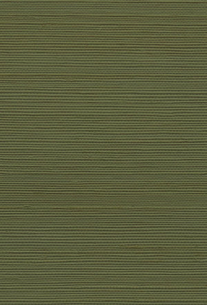 Treetop Green grasscloth grasscloth by Deus ex Gardenia in green, full repeat of a woven grasscloth texture