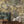 Gentlemen Birds wallpaper by Brand McKenzie in olive, birds hidden among leaves behind a dining table