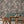 Gentlemen Birds wallpaper by Brand McKenzie in brown, birds hidden among leaves in a dining area
