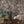 Gentlemen Birds wallpaper by Brand McKenzie in dusky pink, birds hidden among leaves behind a dining table