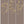The Ginkgo Tree wallpaper by Dami and Em Design in green, flat sample of ginkgo branches