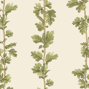 Hawthorn Stripe wallpaper by Studio Le Cocq in green, pattern sample of trailing hawthorn stripes