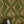 Hourglass wallpaper by Liberty James Studio in green and gold, a retro hourglass wave on a bedroom wall