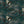Magpie Storm wallpaper by Tamlyn in blue-green and black, full repeat of magpies in flight