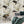 Horned Owl wallpaper by Tamlyn in white, horned owls in flight in a bedroom