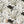 Horned Owl wallpaper by Tamlyn in white, full repeat of horned owls in flight